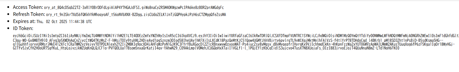 トークンが発行された画面